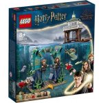 LEGO® Harry Potter™ 76420 Turnaj tří kouzelníků: Černé jezero – Hledejceny.cz