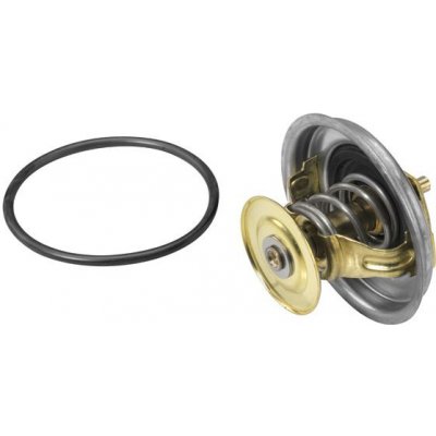 BorgWarner (Wahler) Termostat WAHLER (WH 4116.87D1) – Hledejceny.cz