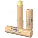 Regina pomáda s měsíčkem zahradním 3,1 g – Zboží Dáma