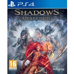 Shadows: Awakening – Zboží Dáma