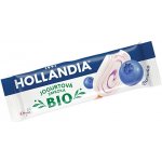 Hollandia Jogurtová zmrzka BIO Borůvka 58ml – Zboží Dáma