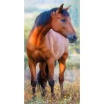 Carbotex dětský froté ručník kůň hnědák na louce 30 x 50 cm hnědá – Hledejceny.cz