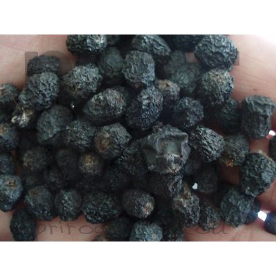 Bylinná lékárna Aronie černý jeřáb plod 500 g – Zboží Mobilmania