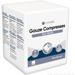 LIVSANE Nesterilní gázové kompresy 10 x 10 cm 100ks – Hledejceny.cz