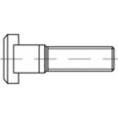 TOOLCRAFT 112546 šrouby závrtné M6 20 mm DIN 835 ocel 100 ks – Zboží Mobilmania