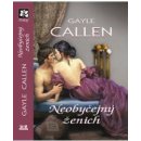 Neobyčejný ženich - Gayle Callen