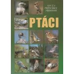 Ptáci - Ottův průvodce přírodou - Ottovo nakladatelství – Hledejceny.cz