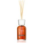 Milefiori Natural Vanilka a dřevo Aroma difuzér 250 ml – Hledejceny.cz