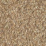 Krmné směsi Kvídera Konopné semínko Semenec 1 Kg – Sleviste.cz
