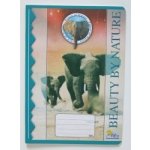 Notes Bohemia Školní sešit 525 A5 čtvereček 20ls bezdřevý – Hledejceny.cz