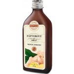 Topvet Zázvor sirup farmářský 320 g – Hledejceny.cz