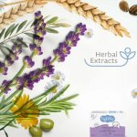 Bebble Dětské krémové mýdlo s levandulí 75 g – Hledejceny.cz