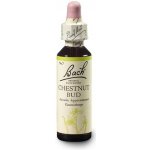 Bachovy květové esence Chestnut Bud Poupě jírovce maďalu 20 ml – Hledejceny.cz