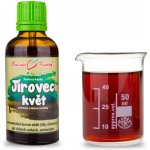 Bylinné kapky Pavlovy bylinné kapky Jírovec kůra tinktura 50 ml – Hledejceny.cz