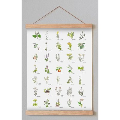 Plakát BYLINKY S lištami – Zboží Dáma