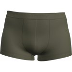 Icebreaker Mens 125 Cool-Lite Anatomica Trunks – Zboží Mobilmania