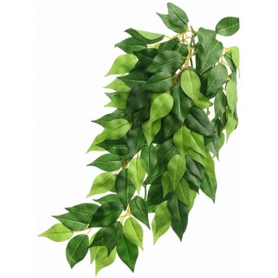 HAGEN Rostlina Ficus velká 70 cm – Zboží Dáma