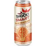 Big Shock! Smart Mango & Lychee 0,5 l – Hledejceny.cz