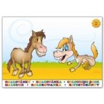 MFP Omalovánky A5 Koníčci – Zboží Dáma