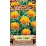 Semínka MoravoSeed Světlice barvířská Šafrán k sušení oranžová 00781 – Sleviste.cz