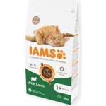 Iams Cat Adult Lamb 2 kg – Hledejceny.cz