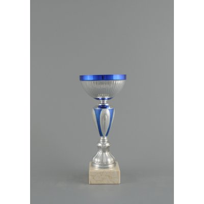 Sportovní stříbrno modrý pohár 18 31 cm 18 cm – Sleviste.cz