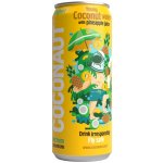 Coconaut Kokosová voda s ananasovou šťávou 320 ml – Zboží Dáma