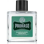 Proraso Eukalyptus balzám na vousy 100 ml – Zboží Dáma Proraso Eukalyptus balzám na vousy 100 ml – Zboží Dáma