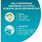 PURINA One Sterilcat Wołowina 9,75 kg – Zboží Dáma