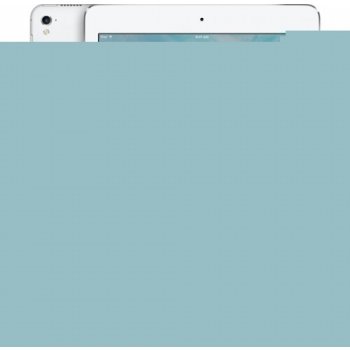 Apple iPad Pro 9.7 Wi-Fi 256GB MLN02FD/A