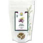 Salvia Paradise Kozlík lékařský kořen mletý 100 g – Hledejceny.cz