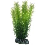 Hobby plastová rostlina Mayaca 16 cm – Zboží Mobilmania