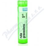 RUTA GRAVEOLENS POR 5CH GRA 4G – Hledejceny.cz