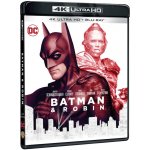 Batman a Robin BD – Hledejceny.cz