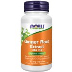 Now Foods Foods Zázvor Ginger Extract 250 mg 90 kapslí – Hledejceny.cz