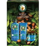 Herbal Essences Argan Oil hydratační šampon pro poškozené vlasy 350 ml + hydratační kondicionér pro poškozené vlasy 250 ml – Zboží Dáma