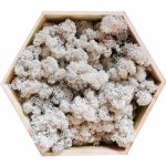 mech-mech.cz Sobí mech Norský - bílý - 250g – Zboží Dáma