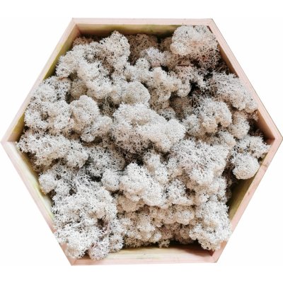 mech-mech.cz Sobí mech Norský - bílý - 250g – Zboží Dáma