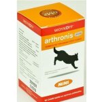 Arthronis ACUTE Mini 60 tbl – Zbozi.Blesk.cz