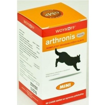 Arthronis ACUTE MINI 60 tbl