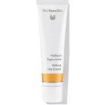 Dr. Hauschka meduňkový pleťový krém 30 ml – Hledejceny.cz