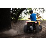 Lamax eBumbleBee ATV60M | Zboží Auto