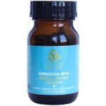 Healing Nature Černucha setá Kalonji 60 kapslí – Hledejceny.cz
