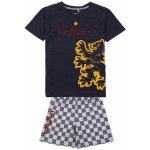 Cerda Nebelvír Gryffindor – Sleviste.cz