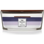 WoodWick Seaside Mimosa 609,5 g – Zboží Dáma