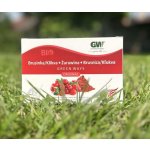 Green Ways Brusinka BIO v prášku 200 g – Sleviste.cz