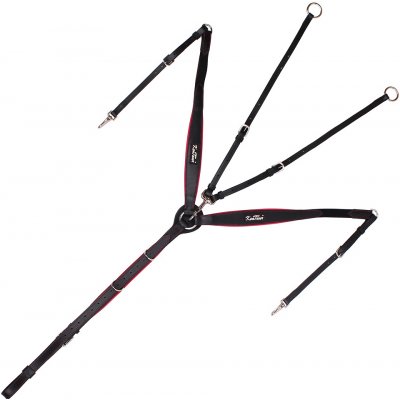 Kentaur Poprsník pro koně NAPOLI CL Béžová Černá + stříbrné kování – Zboží Dáma Kentaur Poprsník pro koně NAPOLI CL Béžová Černá + stříbrné kování – Zboží Dáma