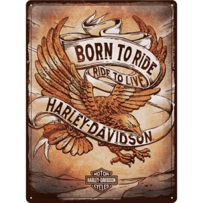 Postershop Plechová cedule: Harley-Davidson Born to Ride Ride to Live - 30x40 cm – Zboží Mobilmania