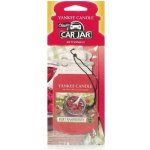 Yankee Candle Red Raspberry papírová visačka – Hledejceny.cz