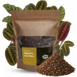 Urban Jungle substrát pro Maranta Calathea 5 l – Hledejceny.cz